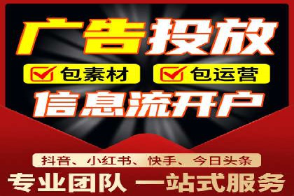 百度竞价广告投放全解析：成功案例揭秘
